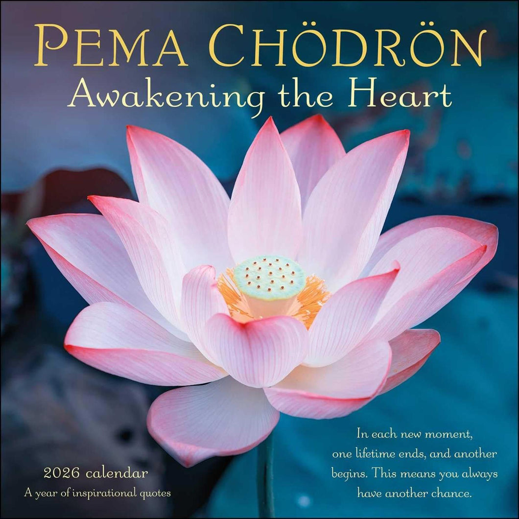 Amber Lotus Pema Chödrön 12x12 2026 Wall Calendar