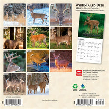 Load image into Gallery viewer, Browntrout White Tailed Deer 2026 7 x 7 Mini Calendar
