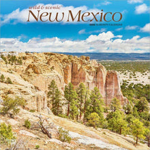 Load image into Gallery viewer, Browntrout New Mexico Wild &amp; Scenic 2026 12 x 12 Wall Calendar
