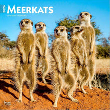 Load image into Gallery viewer, Browntrout Meerkats 2026 12 x 12 Wall Calendar
