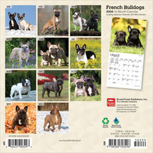 Load image into Gallery viewer, Browntrout French Bulldogs 2026 7 x 7 Mini Calendar
