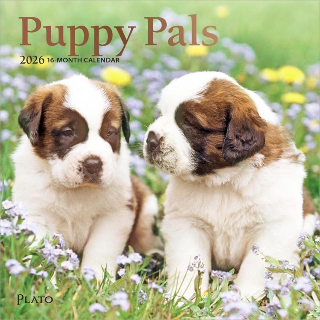 Browntrout Puppy Pals 2026 7 x 7 Mini Calendar