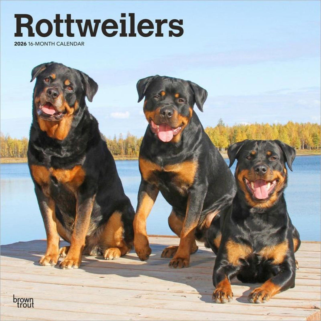 Browntrout Rottweilers 2026 12 x 12 Wall Calendar