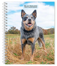 Load image into Gallery viewer, Browntrout Blue Heelers 2026 6 x 7.75 Weekly Engagement Planner
