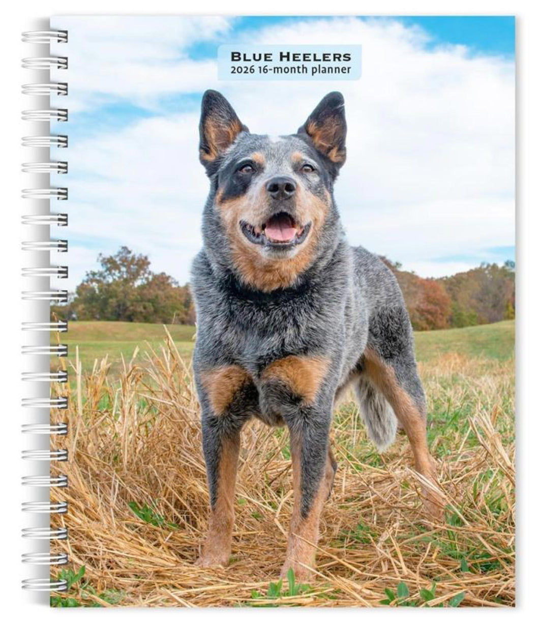 Browntrout Blue Heelers 2026 6 x 7.75 Weekly Engagement Planner