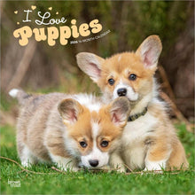 Load image into Gallery viewer, Browntrout I Love Puppies 2026 12 x 12 Wall Calendar
