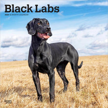 Load image into Gallery viewer, Browntrout Black Labrador Retrievers 2026 12 x 12 Wall Calendar
