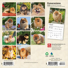 Load image into Gallery viewer, Browntrout Pomeranians 2026 7 x 7 Mini Calendar
