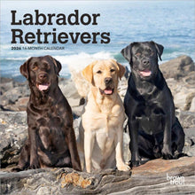 Load image into Gallery viewer, Browntrout Labrador Retrievers 2026 7 x 7 Mini Calendar
