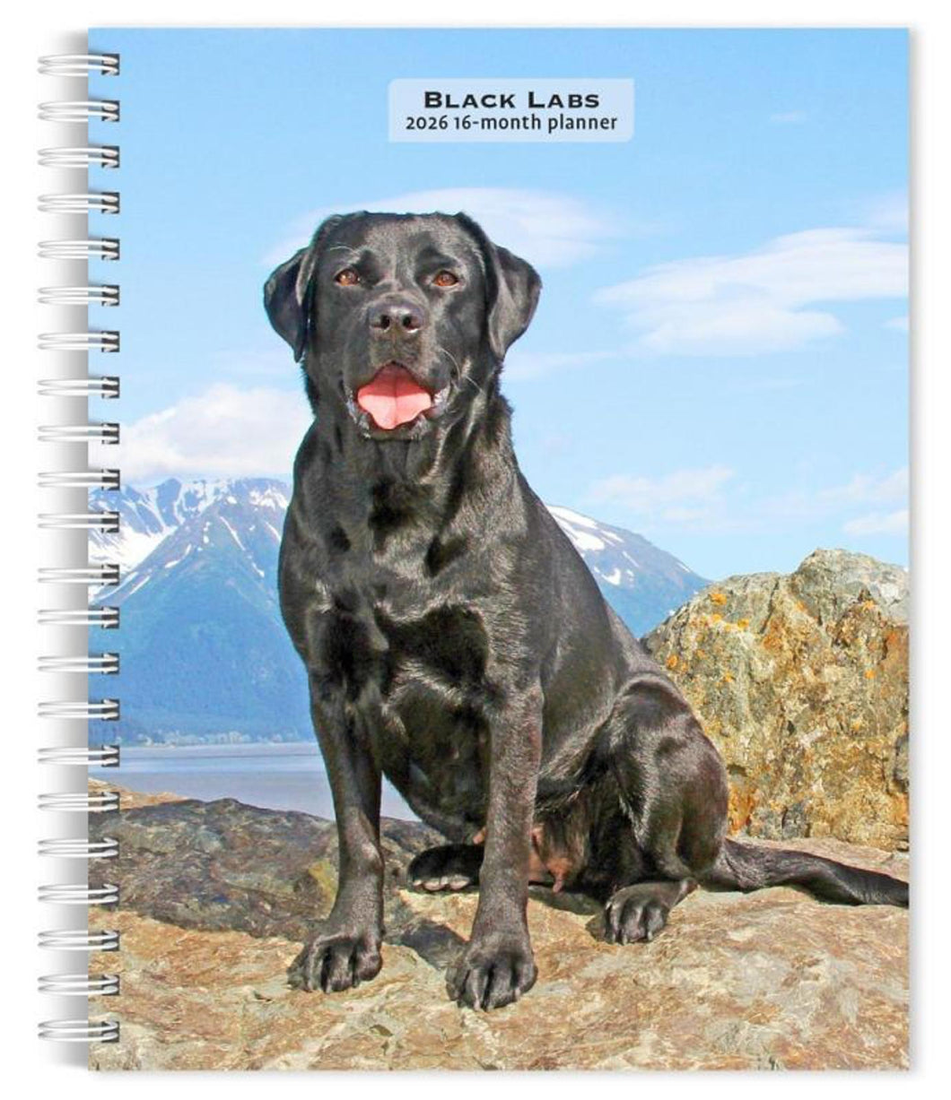 Browntrout Black Labrador Retrievers 2026 6 x 7.75 Weekly Engagement Planner