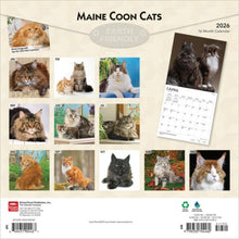 Load image into Gallery viewer, Browntrout Maine Coon Cats 2026 12 x 12 Wall Calendar
