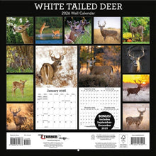 Load image into Gallery viewer, Turner White-Tailed Deer 12x12 Photo 2026 Wall Calendar
