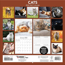 Load image into Gallery viewer, Turner Cats 12x12 Photo 2026 Wall Calendar
