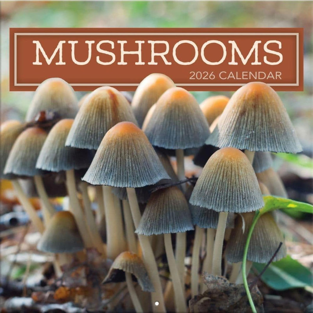 Turner Mushrooms 12x12 Photo 2026 Wall Calendar