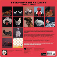 Load image into Gallery viewer, Harry Abrams Extraordinary Chickens 12x12 2026 Wall Calendar
