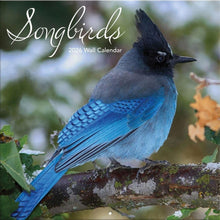 Load image into Gallery viewer, Turner Songbirds 12x12 Photo 2026 Wall Calendar
