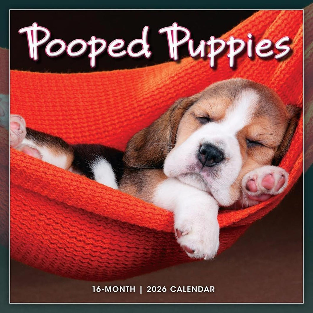 Sellers Publishing Pooped Puppies 2026 12 x 12 Wall Calendar
