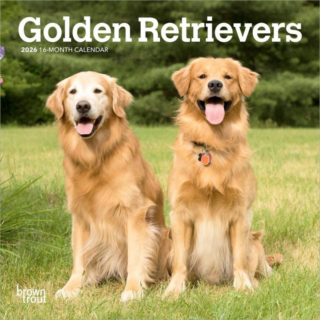 Browntrout Golden Retrievers 2026 7 x 7 Mini Calendar