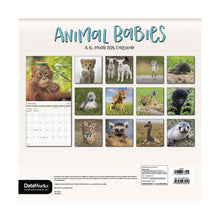 Load image into Gallery viewer, Trends International Animal Babies 2026 12 x 12 Wall Calendar
