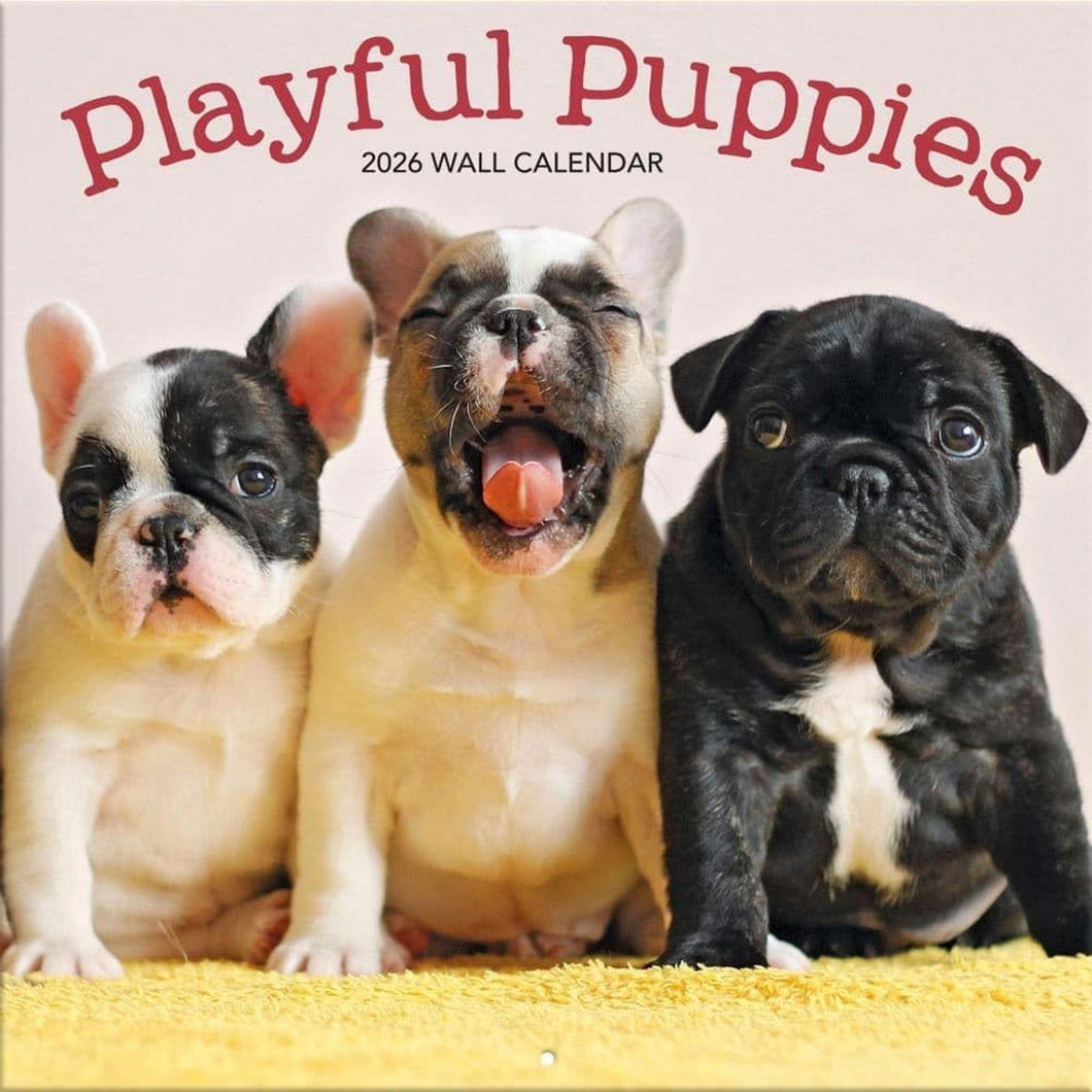 Turner Playful Puppies 12x12 Photo 2026 Wall Calendar