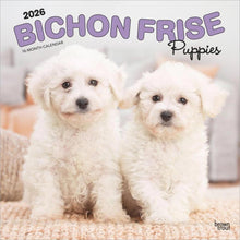 Load image into Gallery viewer, Browntrout Bichon Frise Puppies 2026 12 x 12 Wall Calendar
