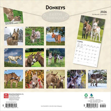 Load image into Gallery viewer, Browntrout Donkeys 2026 12 x 12 Wall Calendar
