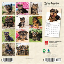 Load image into Gallery viewer, Browntrout Yorkshire Terrier Puppies 2026 7 x 7 Mini Calendar
