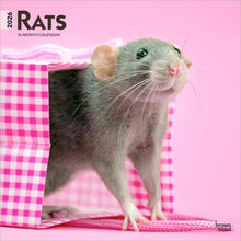 Load image into Gallery viewer, Browntrout Rats 2026 12 x 12 Wall Calendar
