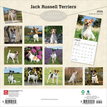 Load image into Gallery viewer, Browntrout Jack Russell Terriers 2026 12 x 12 Wall Calendar
