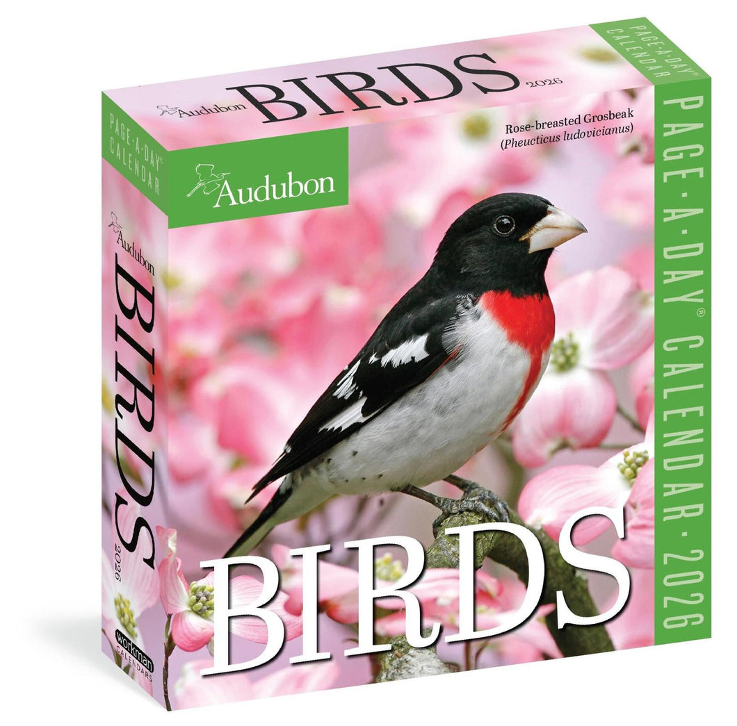 Workman Audubon Birds 2026 Page-A-Day Calendar