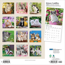 Load image into Gallery viewer, Browntrout Kitten Cuddles 2026 12 x 12 Wall Calendar
