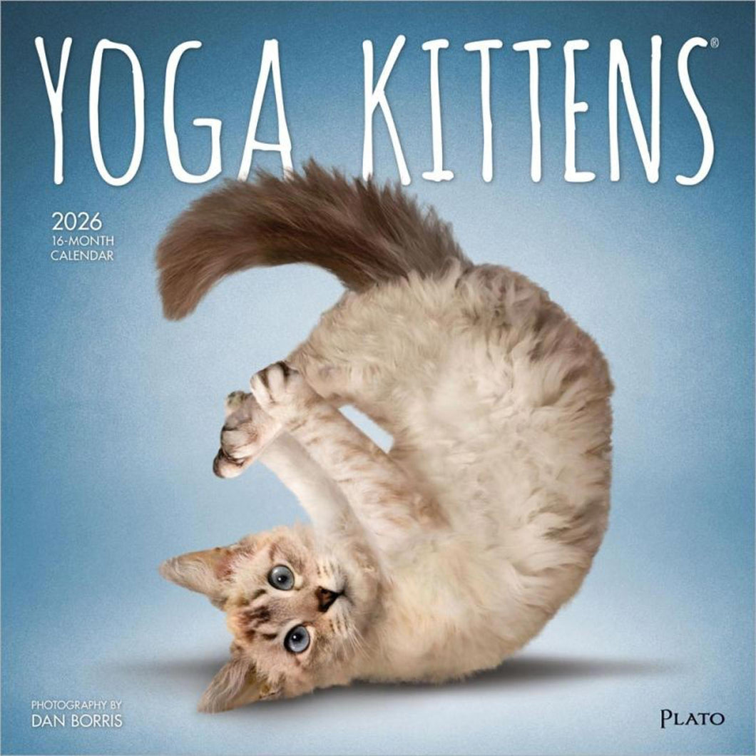Browntrout Yoga Kittens OFFICIAL 2026 12 x 12 Wall Calendar
