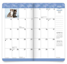 Load image into Gallery viewer, Browntrout Kitten Cuddles 2026-2027 Two Year Monthly Pocket Planner
