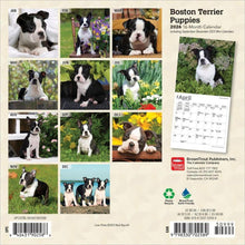 Load image into Gallery viewer, Browntrout Boston Terrier Puppies 2026 7 x 7 Mini Calendar
