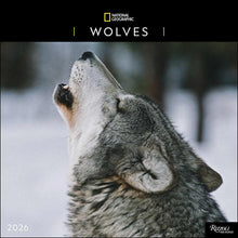 Load image into Gallery viewer, Universe National Geographic: Wolves 12x12 2026 Wall Calendar
