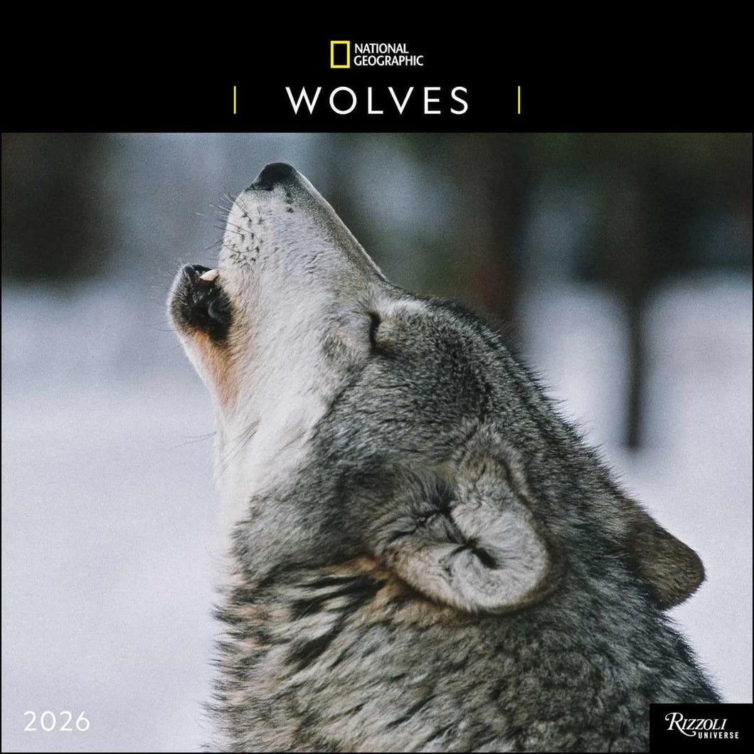 Universe National Geographic: Wolves 12x12 2026 Wall Calendar
