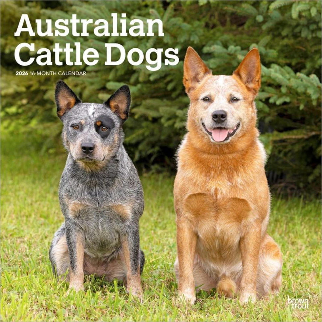 Browntrout Australian Cattle Dogs 2026 12 x 12 Wall Calendar