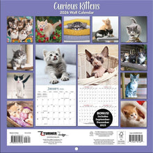 Load image into Gallery viewer, Turner Curious Kittens 2026 Mini Wall Calendar
