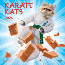 Load image into Gallery viewer, Browntrout Karate Cats OFFICIAL 2026 12 x 12 Wall Calendar
