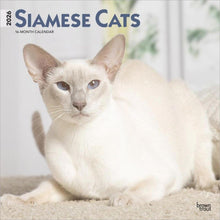 Load image into Gallery viewer, Browntrout Siamese Cats 2026 12 x 12 Wall Calendar
