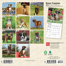 Load image into Gallery viewer, Browntrout Boxer Puppies 2026 7 x 7 Mini Calendar
