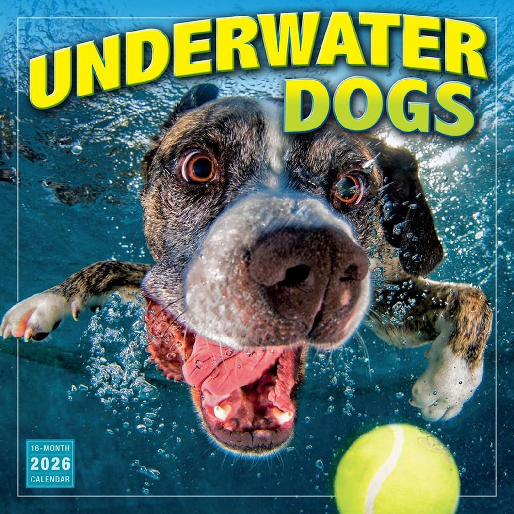 Sellers Publishing Underwater Dogs 2026 12 x 12 Wall Calendar