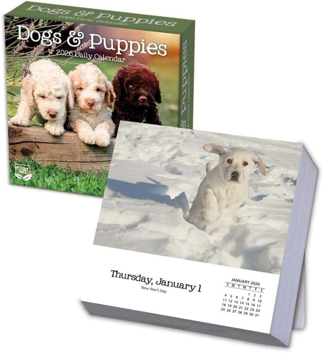 Turner Dogs & Puppies 2026 Daily Box Calendar