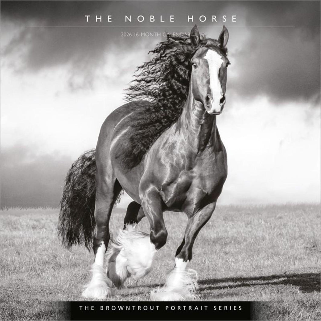 Browntrout Portrait Series: The Noble Horse 2026 12 x 12 Wall Calendar
