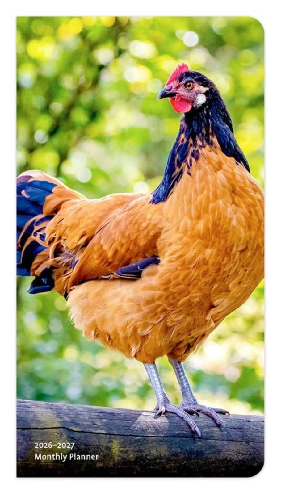 Browntrout Chickens 2026-2027 Two Year Monthly Pocket Planner