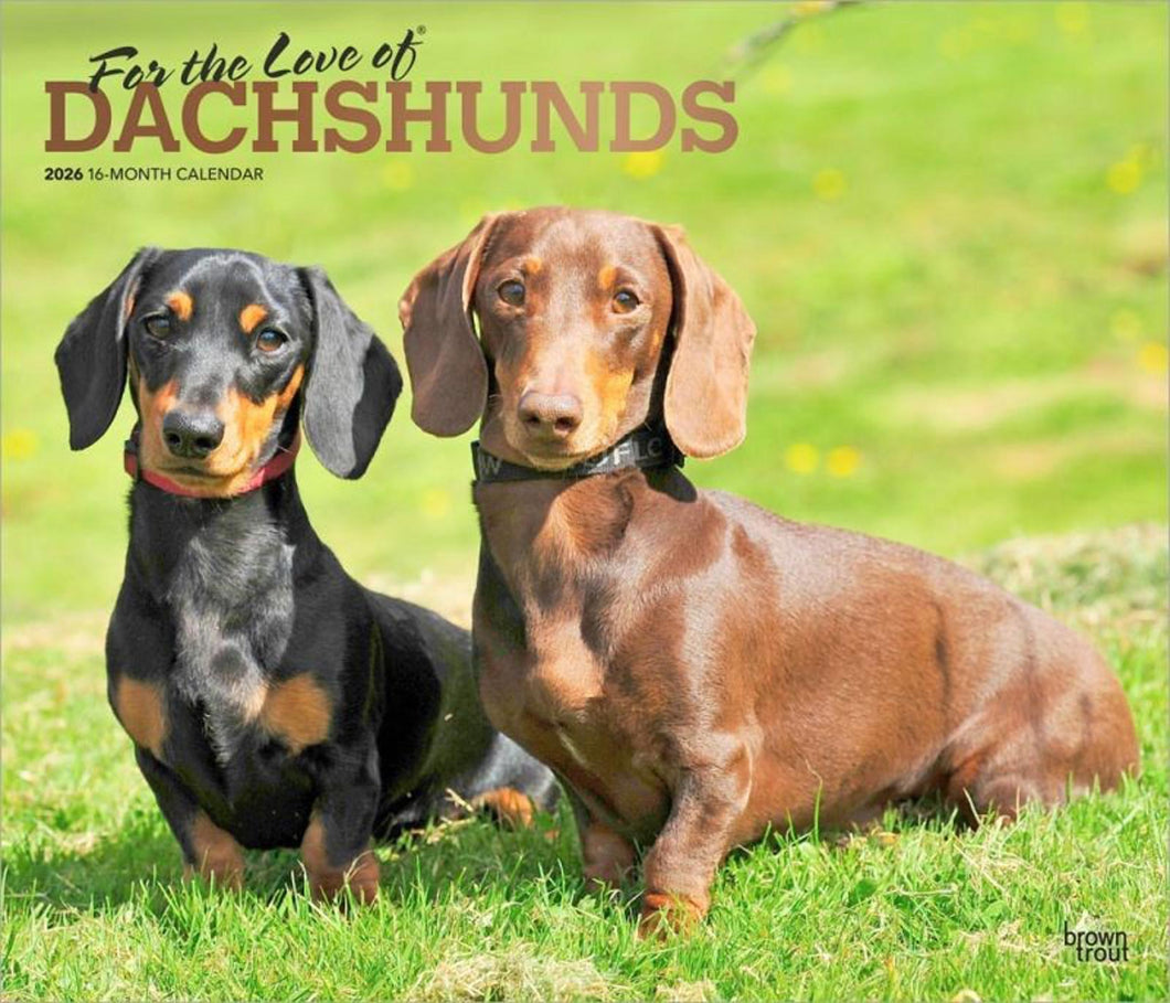 Browntrout For the Love of Dachshunds 2026 14 x 12 Wall Calendar