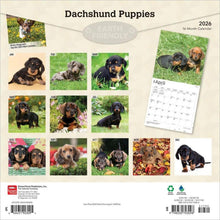 Load image into Gallery viewer, Browntrout Dachshund Puppies 2026 12 x 12 Wall Calendar
