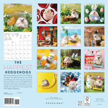 Load image into Gallery viewer, Graphique The Happiest Hedgehogs 2026 12 x 12 Wall Calendar
