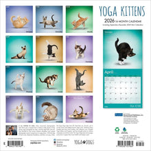 Load image into Gallery viewer, Browntrout Yoga Kittens OFFICIAL 2026 12 x 12 Wall Calendar
