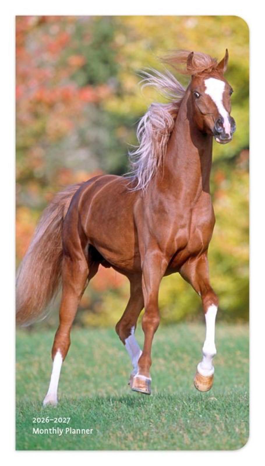 Browntrout Horse Lovers 2026-2027 Two Year Monthly Pocket Planner